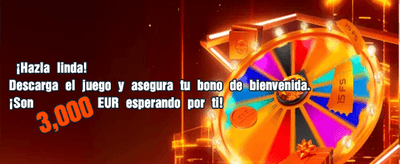 Experiencia de Casino Rayo777