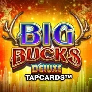 Big Bucks Deluxe Tapcards game thumbnail